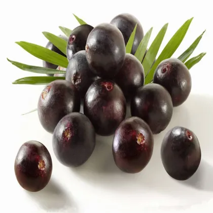 Acai Berry Powder Acai Berry Fruit Juice Powder