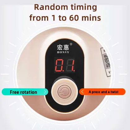 Electric Small Multi-Layer Food Steamer