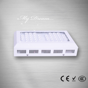 광장 2.8kg Led 성장 빛