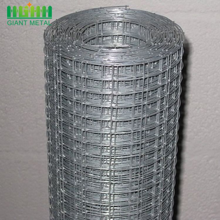 Galvanized and PVC Coated Welded Wire Mesh Rolls