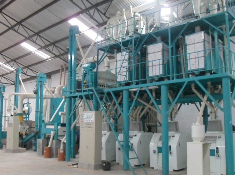 Super White Maize Meal Processing Equipment