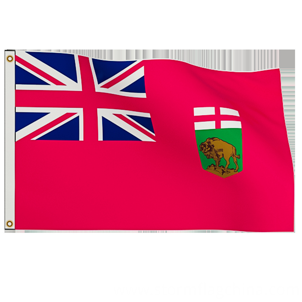 National Stormflag Flag