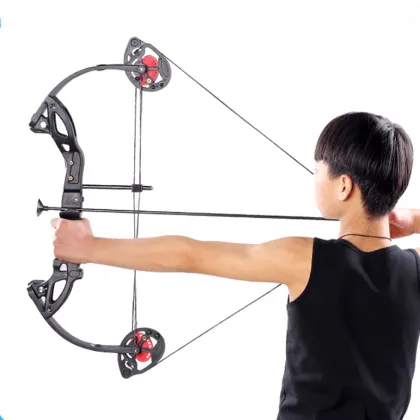 Professional Wooden Bow Archery Recurve Bow and Arrow Game Set for Sale