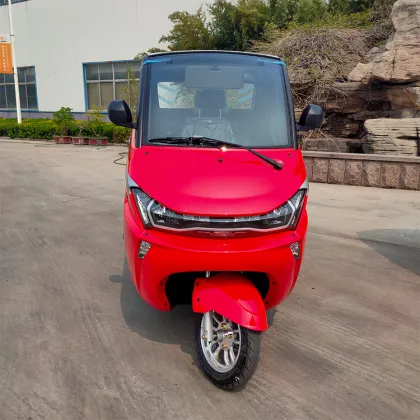 EEC Certified Senior Mobility Scooter with Lithium Battery and Cabin for Sale