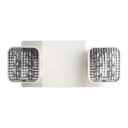 Emergency light fixture with two heads