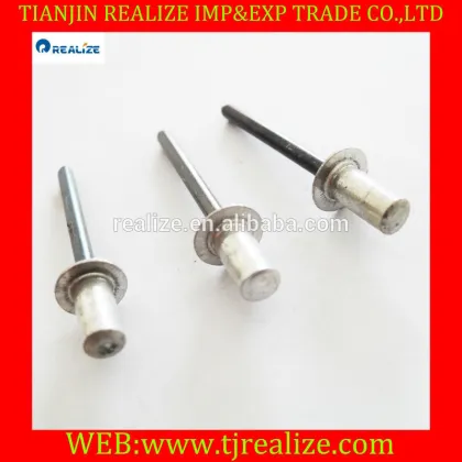 Good factory China fasteners beige color blind rivets