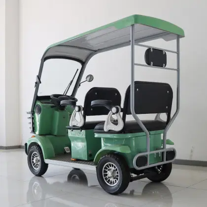 Elderly mobility electric vehicles