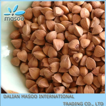 Buckwheat kernel/China grains/roasted buckwheat/2012crop