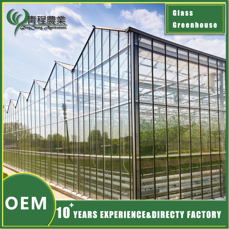 Clear Glass Greenhouse Structure
