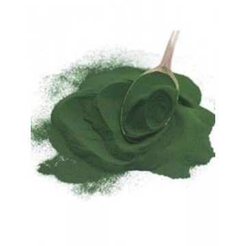 Pure Vulgaris Chlorella Powder / Chlorella Extract Powder