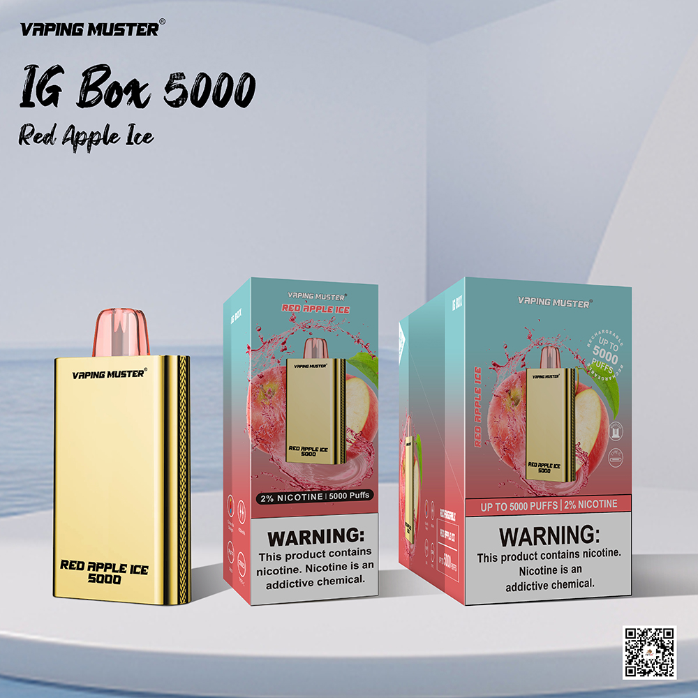 IG Kotak Rokok Elektronik 5000