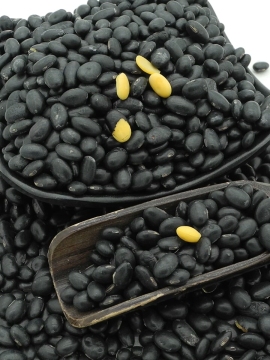 black kidney beans with best price