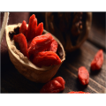 Dried Goji Berry Wolfberry organic