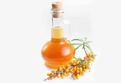 Plant Essential Oil sea buckthorn seed oil