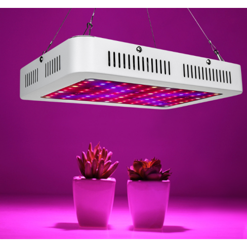 Led vegetable grow lights 600W