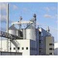 98% API Raw Material Powder Citicoline Sodium 33818-15-4