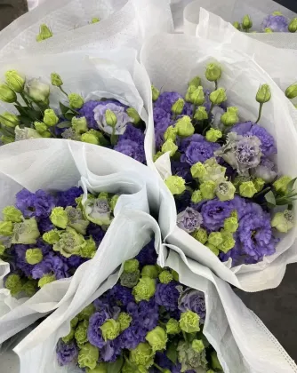 Premium Farmer Light Purple Lisianthus Long Vase Life
