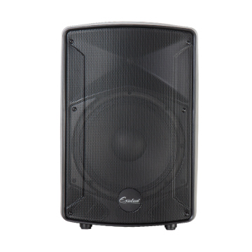 High-Performance 15 Inch Passive Loudspeaker for Professional Audio Searches
