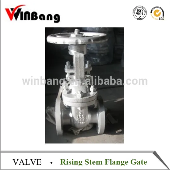 Rising Stem Flange Gate Valve