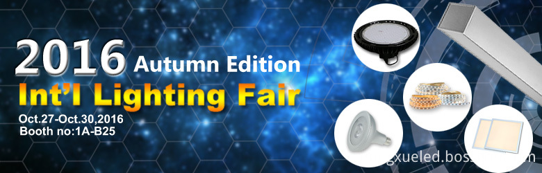 led light fair