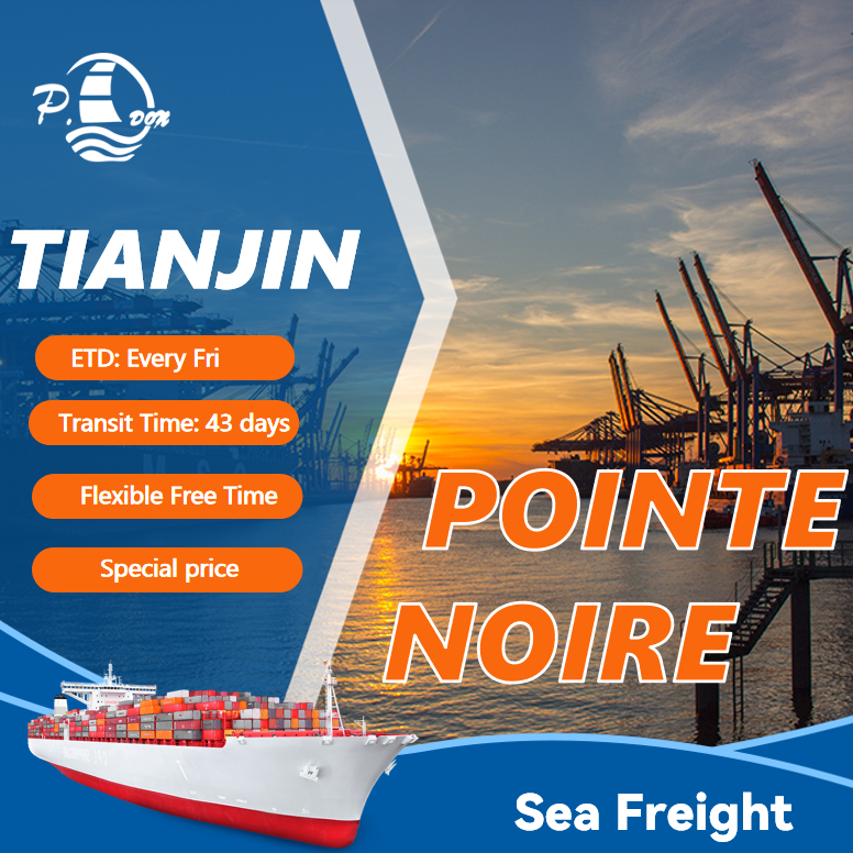 Sea Freight from Tianjin to POINTE NOIRE