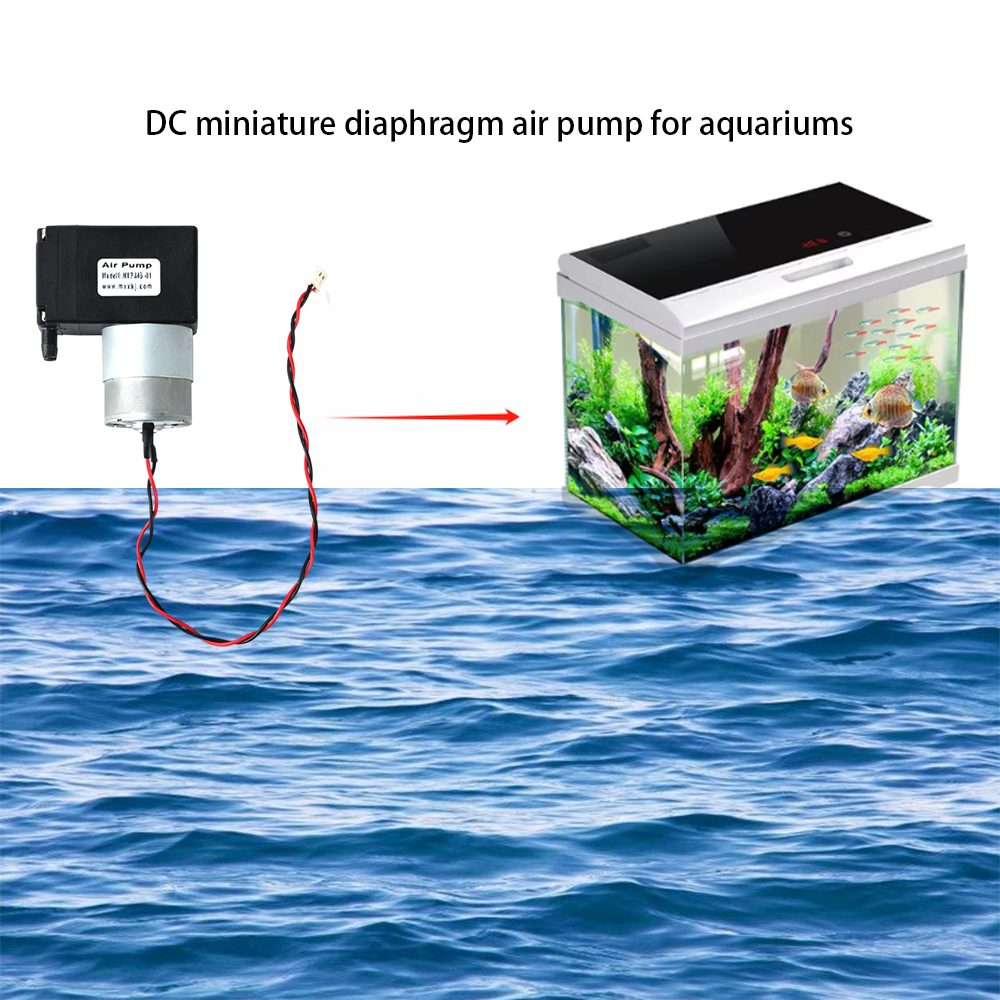 DC miniature diaphragm air pump for aquariums