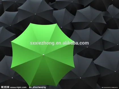 P/D 170t taffeta fabric verse umbrella