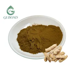 Natural Morinda officinalis Extract for Male Wellness