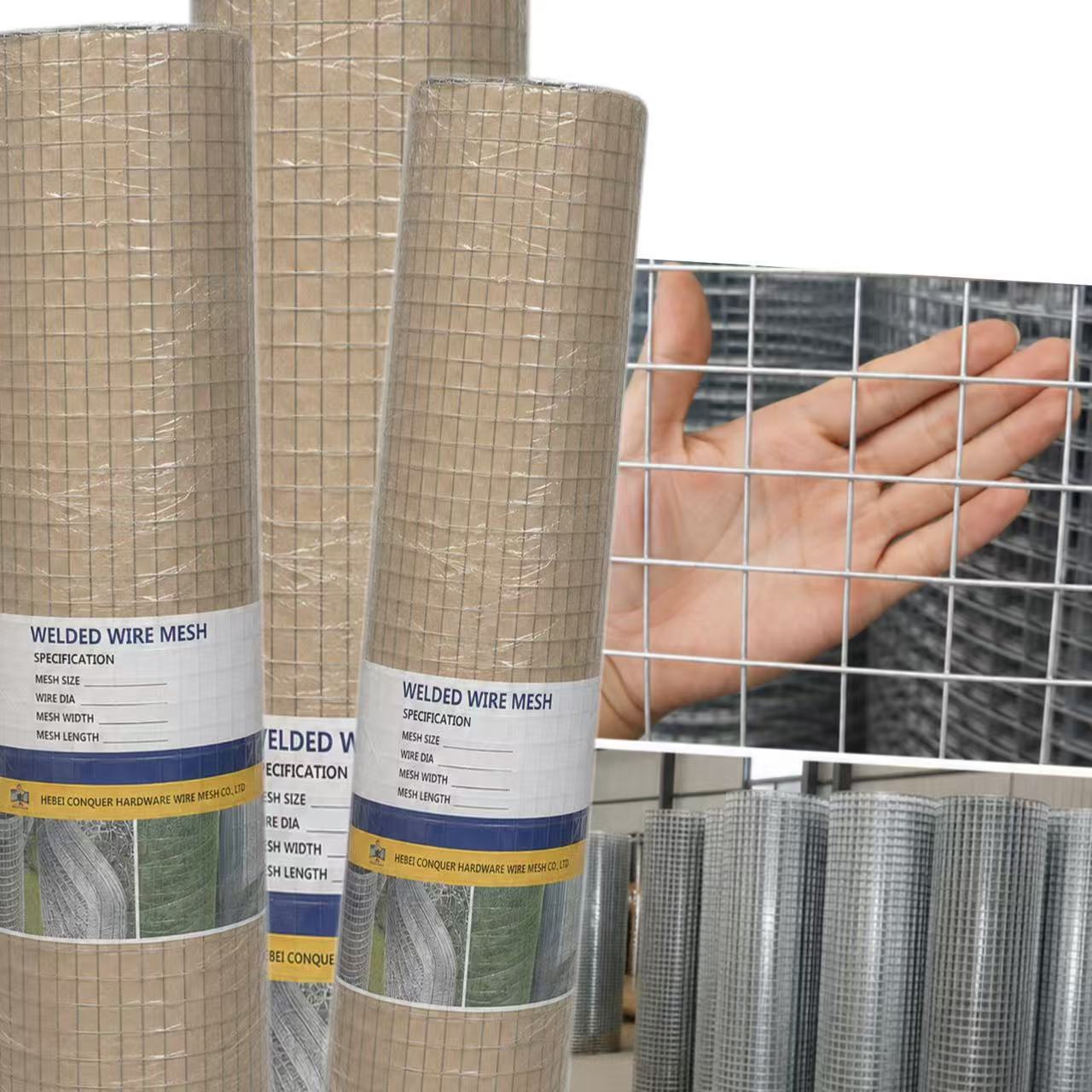 ANJIA Group – BWG23 electro galvanized welded wire mesh roll with fine 1/4 inch mesh