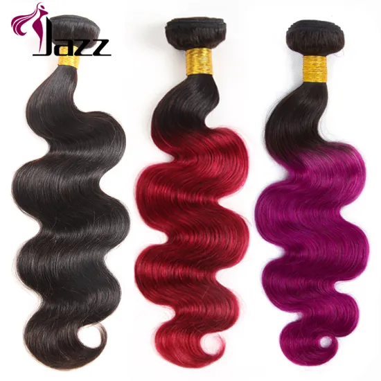 9A Ombre Extensions Brazilian Hair Bundle Virgin Hair Extension Cuticle Aligned Raw Indian Human Hair