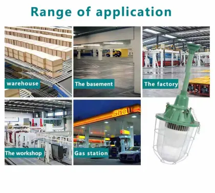 Explosion-Proof LED Lamps for Industrial Hazardous Area Lighting