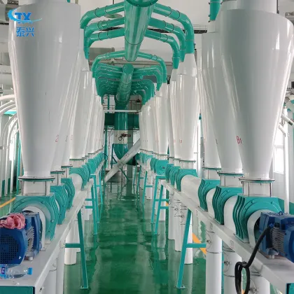 TAIXING Couscous Production Line