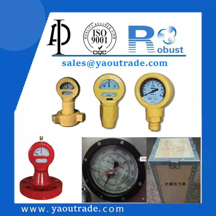 Mud Pump Pressure Gauge09