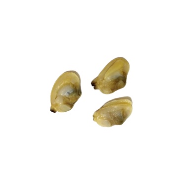 Clam Meat in Shellfish Search Engine