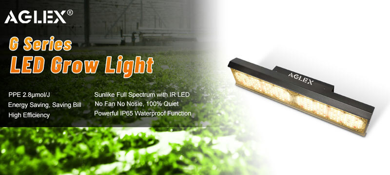 110w led grow light 110w led grow light