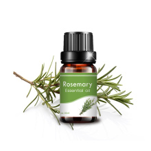10ml rosemary essential oil moisturizing massage aroma