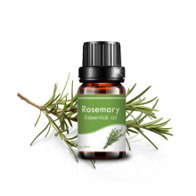 10ml Rosemary Essential Oil Moisturizing Massage Aroma