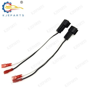 Custom 2 Pin Adapter Wiring Harness for Ford, Lincoln, and Mercury Audio Systems