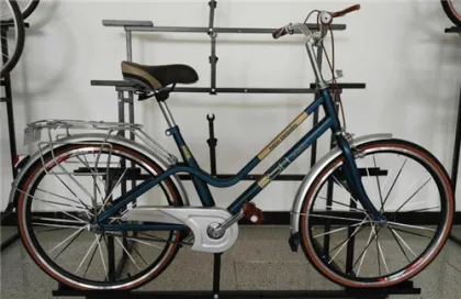 28'' Steel City Bike