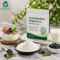 Polvo de Lactobacillus Bulgaricus de alta potencia