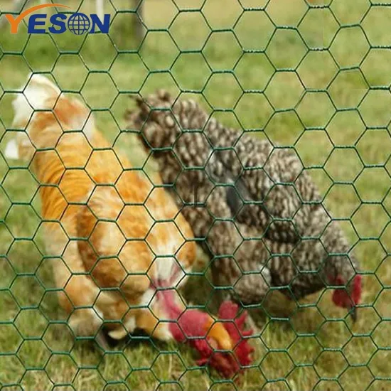 YESON Cheap PVC Chicken Coop Galvanized Wire Mesh Traps Cage for Rabbits" 

However, to make it more suitable for a search engine title, we might want to prioritize keywords that users are likely to search:

"YESON Cheap PVC Chicken Coop Wire Mesh Traps C