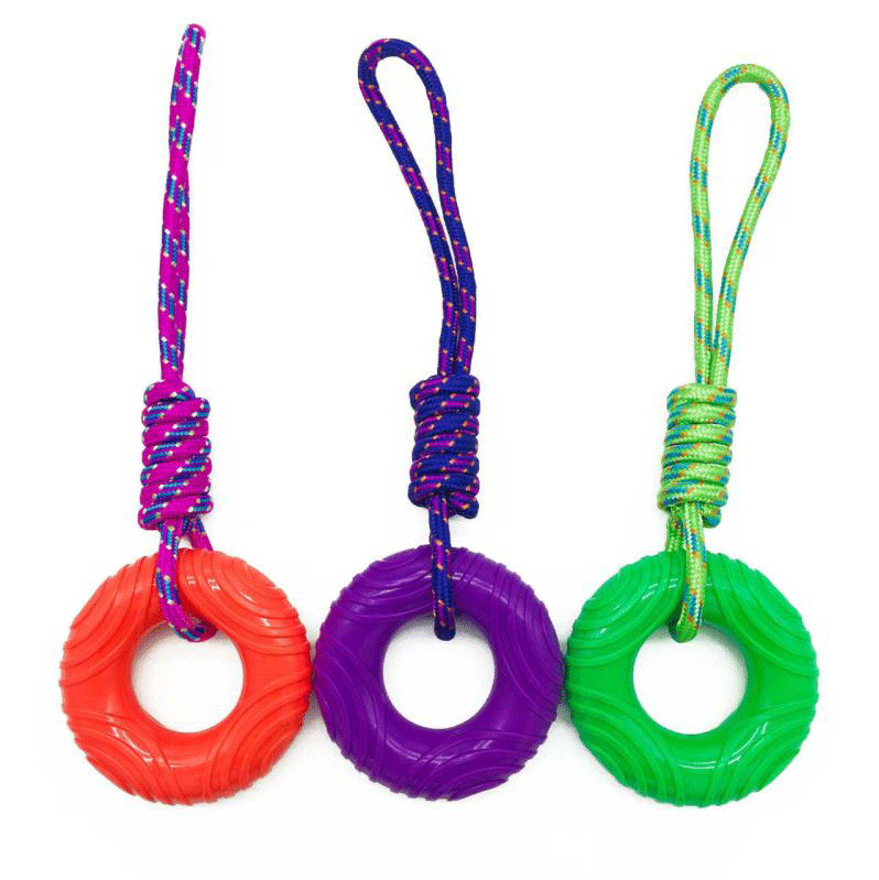 মজাদার এবং নিরাপদ দাঁত তোলার খেলনা