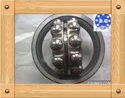 1204ektn9 Skf Self-aligning Ball Bearing