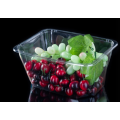 8oz Fruit Salad Packing Box