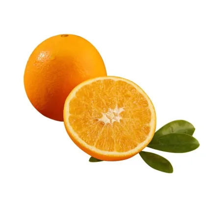 Organic Fresh Mandarin Fruits