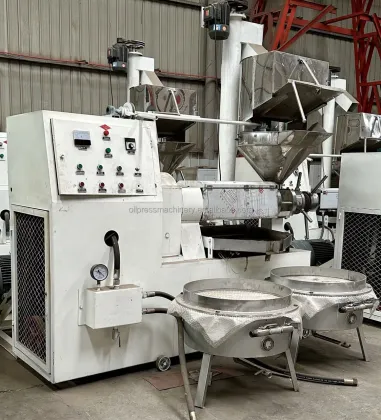 Soya Moringa Canola Oil Press Machine: Cold Pressed Oil Expeller with Vacuum Filter