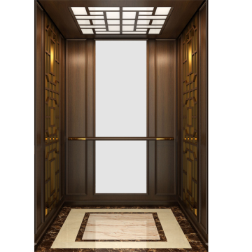High-End Luxury Etched Stainless Steel 400KG Residential Elevator