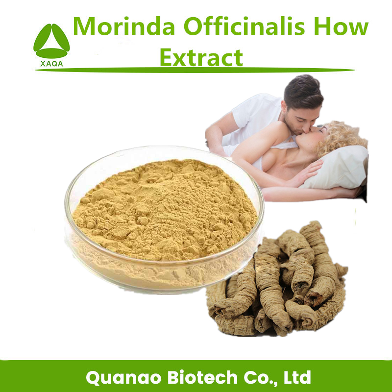 Sexo Mejore Morinda Officinalis ¿Cómo extracto en polvo 10: 1