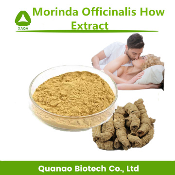 Sex verbeteren Morinda officinalis hoe extractpoeder 10: 1