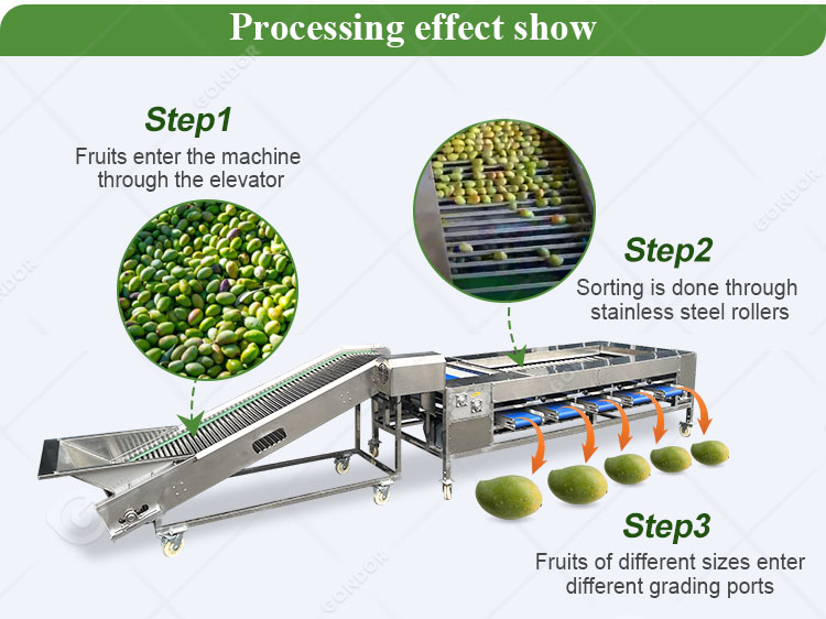 Fruit Size Sorting And Grading Machine: Avocado, Potato, Tomato, Orange ...